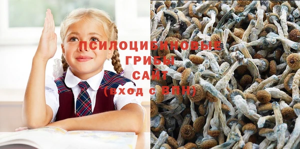 тгк Алексеевка