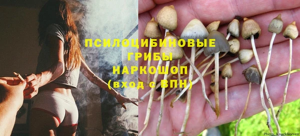 тгк Алексеевка