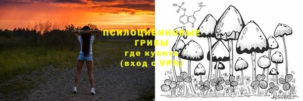 герыч Алексин