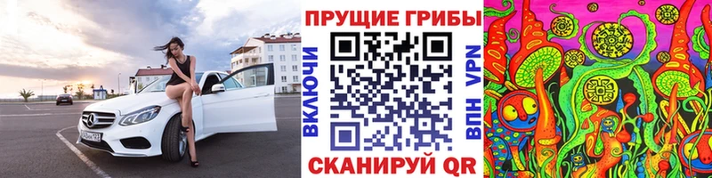 ОМГ ОМГ ТОР Санкт-Петербург Галлюциногенные грибы GOLDEN TEACHER
